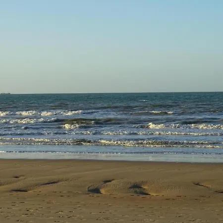 Beautiful Located On The Dunes 아파트