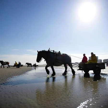 아파트 Beautiful Located On The Dunes *