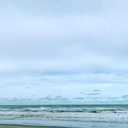 Beautiful Located On The Dunes 니우포르트